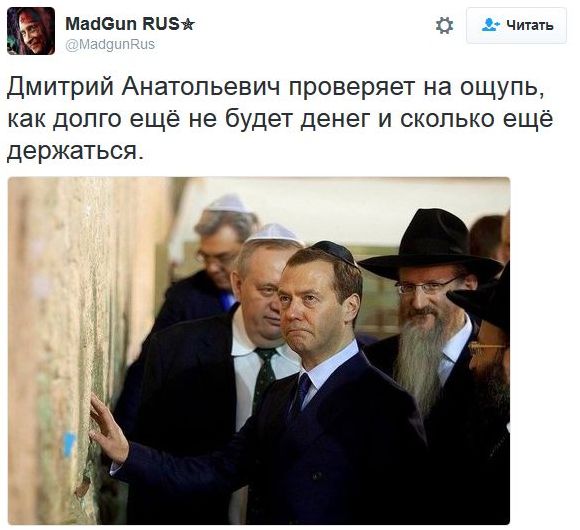 "Мыздобулы" в картинках. Смешных и не очень... 12-11-2016 "Мыздобулы" в картинках. Смешных и не очень... 12-11-2016