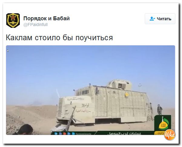 "Мыздобулы" в картинках. Смешных и не очень... 12-11-2016 "Мыздобулы" в картинках. Смешных и не очень... 12-11-2016