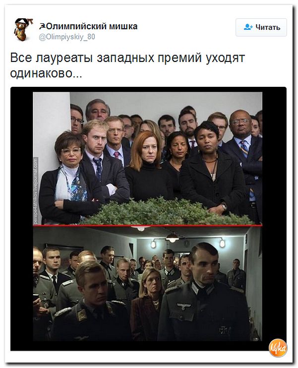 "Мыздобулы" в картинках. Смешных и не очень... 12-11-2016 "Мыздобулы" в картинках. Смешных и не очень... 12-11-2016