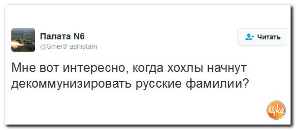 "Мыздобулы" в картинках. Смешных и не очень... 13-11-2016