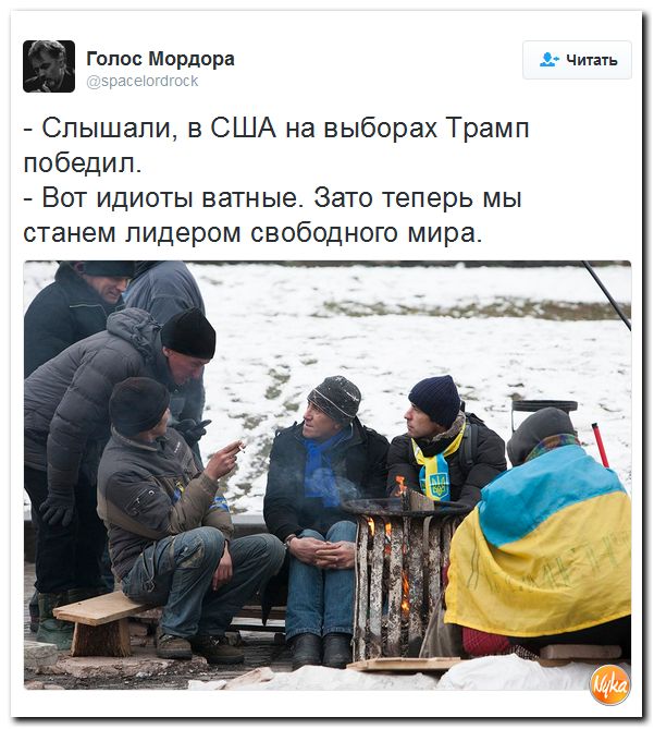 "Мыздобулы" в картинках. Смешных и не очень... 13-11-2016