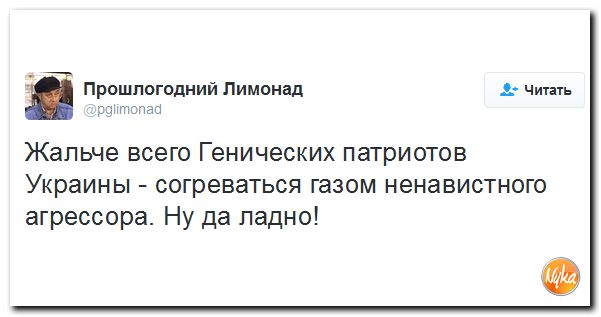 "Мыздобулы" в картинках. Смешных и не очень... 13-11-2016