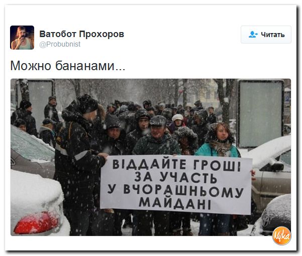 "Мыздобулы" в картинках. Смешных и не очень... 13-11-2016