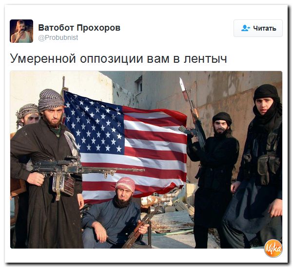 "Мыздобулы" в картинках. Смешных и не очень... 13-11-2016