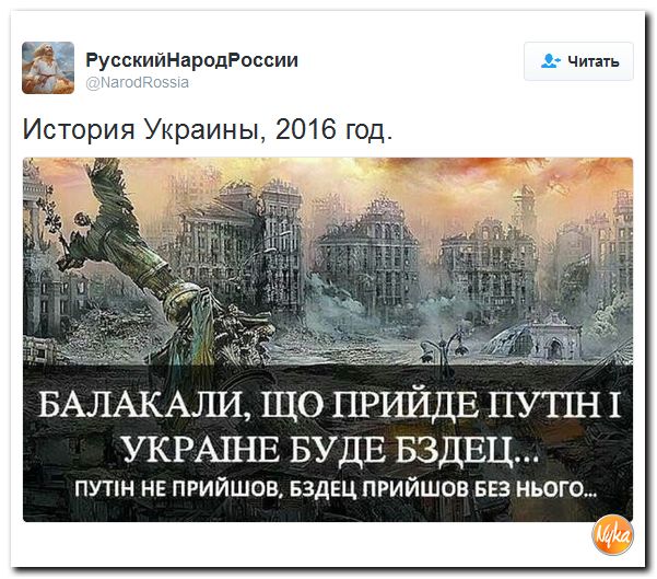 "Мыздобулы" в картинках. Смешных и не очень... 13-11-2016