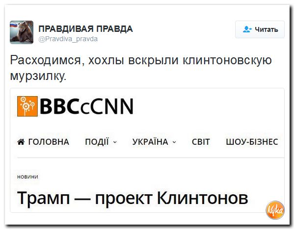 "Мыздобулы" в картинках. Смешных и не очень... 13-11-2016