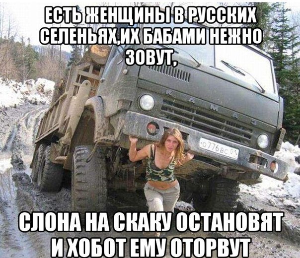 "Мыздобулы" в картинках. Смешных и не очень... 13-11-2016