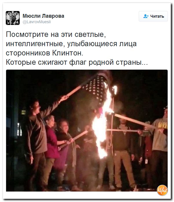 "Мыздобулы" в картинках. Смешных и не очень... 13-11-2016