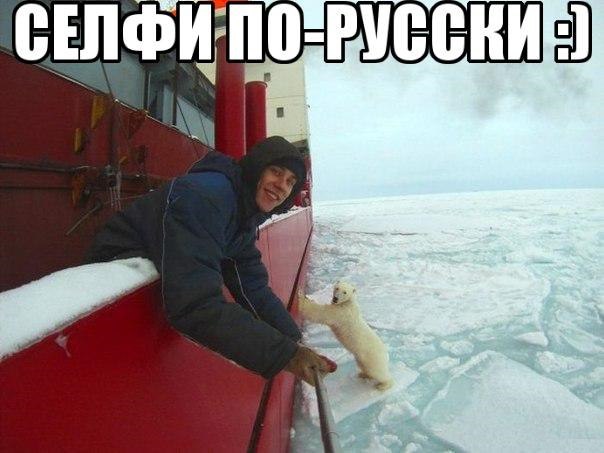 "Мыздобулы" в картинках. Смешных и не очень... 13-11-2016