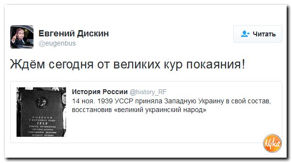 "Мыздобулы" в картинках. Смешных и не очень... 14-11-2016