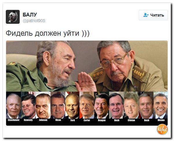 "Мыздобулы" в картинках. Смешных и не очень... 14-11-2016