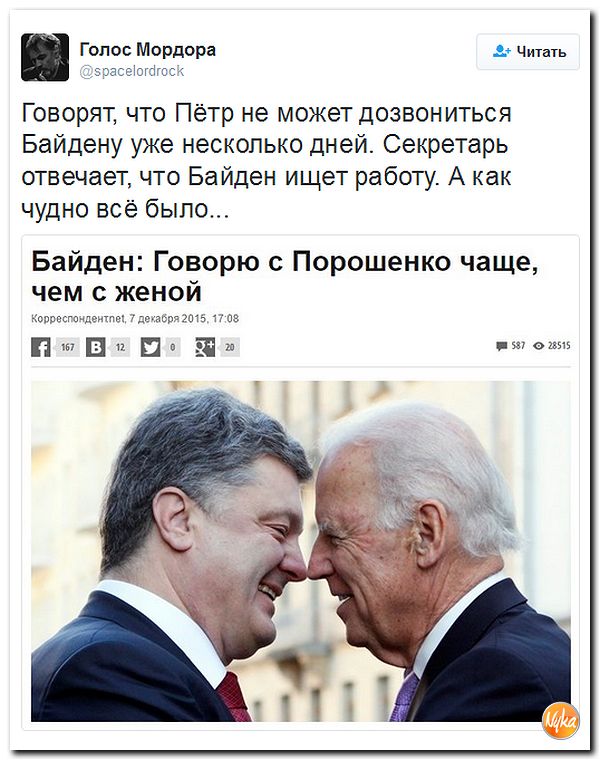 "Мыздобулы" в картинках. Смешных и не очень... 14-11-2016