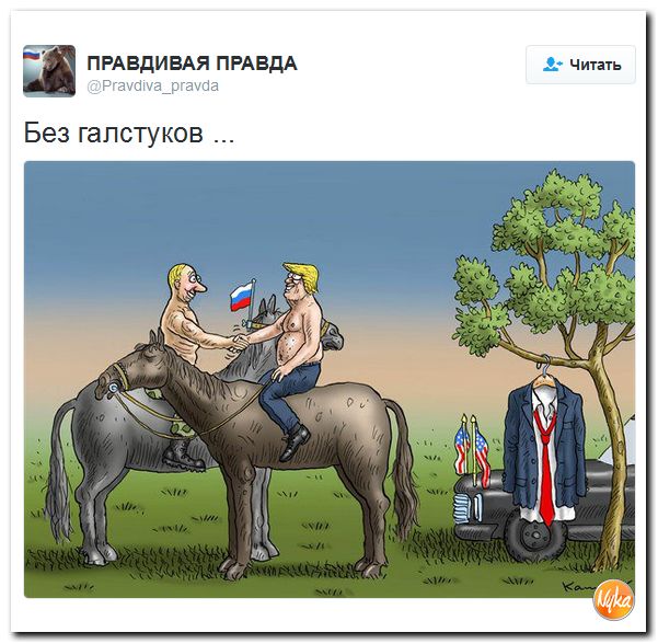 "Мыздобулы" в картинках. Смешных и не очень... 14-11-2016