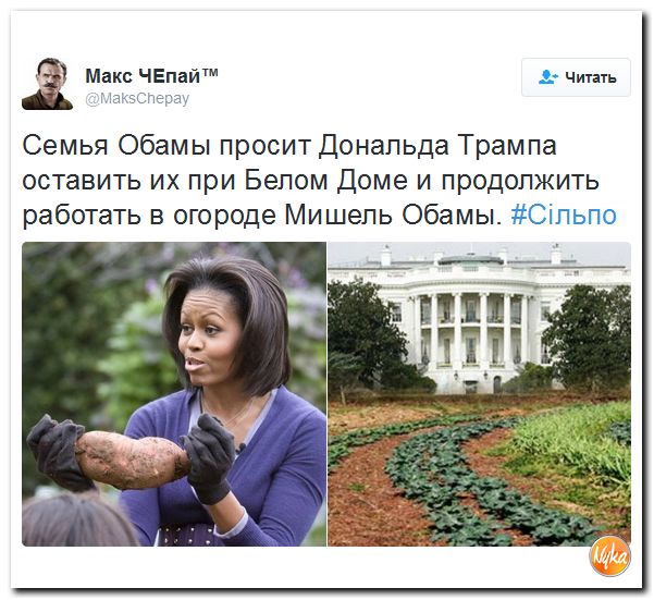 "Мыздобулы" в картинках. Смешных и не очень... 14-11-2016