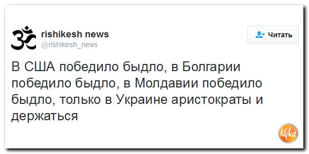 "Мыздобулы" в картинках. Смешных и не очень... 14-11-2016