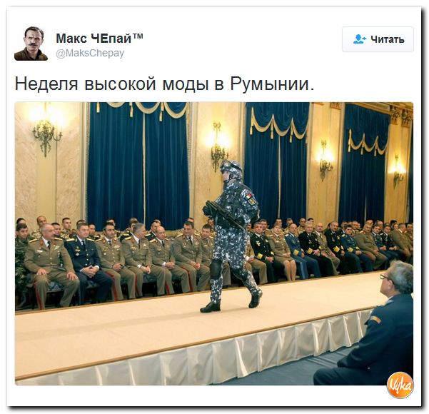 "Мыздобулы" в картинках. Смешных и не очень... 14-11-2016