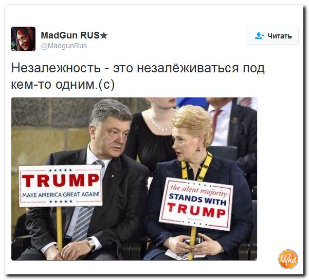 "Мыздобулы" в картинках. Смешных и не очень... 14-11-2016