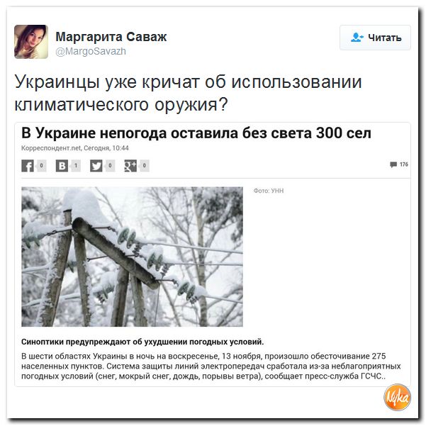 "Мыздобулы" в картинках. Смешных и не очень... 14-11-2016