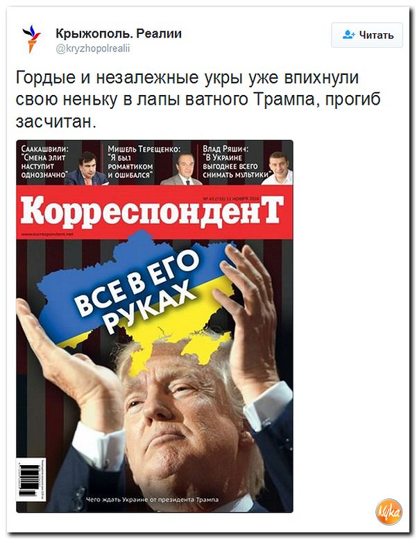 "Мыздобулы" в картинках. Смешных и не очень... 14-11-2016