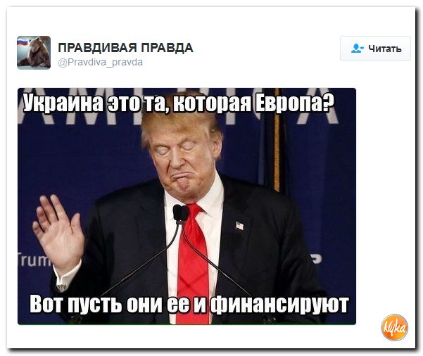 "Мыздобулы" в картинках. Смешных и не очень... 14-11-2016