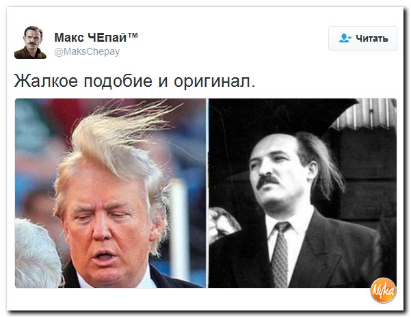 "Мыздобулы" в картинках. Смешных и не очень... 14-11-2016