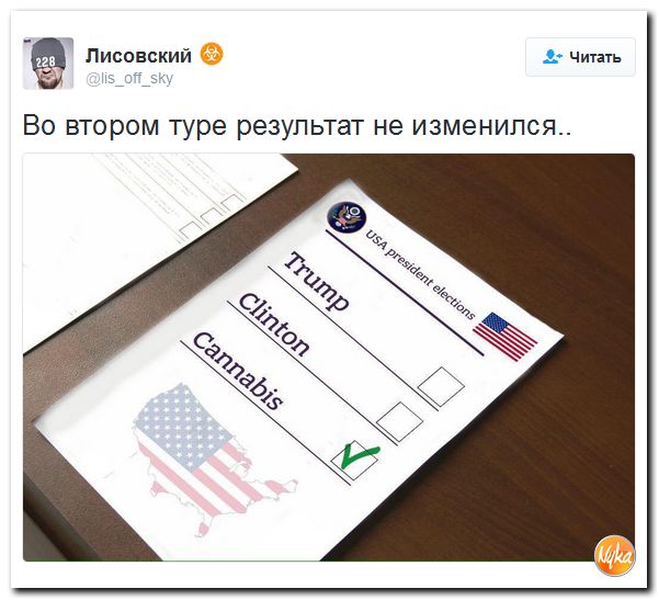 "Мыздобулы" в картинках. Смешных и не очень... 14-11-2016