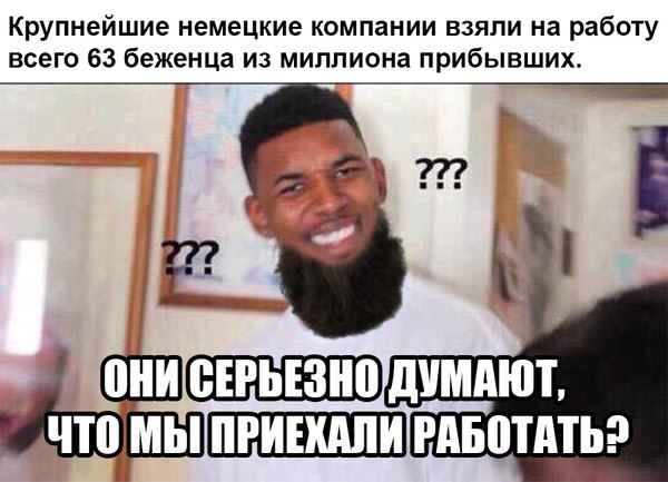 "Мыздобулы" в картинках. Смешных и не очень... 14-11-2016