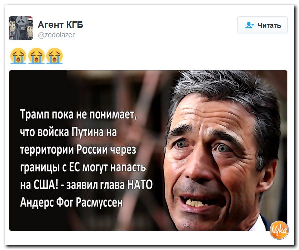 "Мыздобулы" в картинках. Смешных и не очень... 14-11-2016