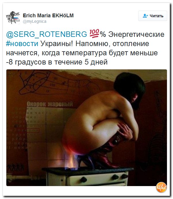 "Мыздобулы" в картинках. Смешных и не очень... 14-11-2016