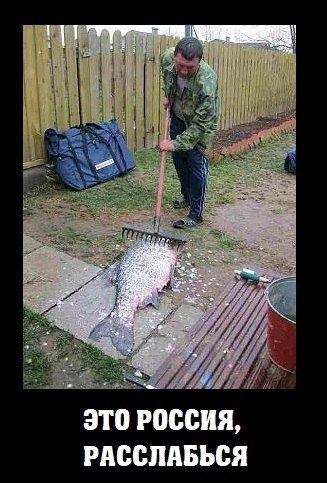 "Мыздобулы" в картинках. Смешных и не очень... 14-11-2016