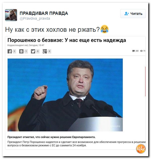 "Мыздобулы" в картинках. Смешных и не очень... 15-11-2016