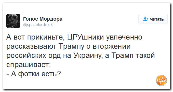 "Мыздобулы" в картинках. Смешных и не очень... 15-11-2016