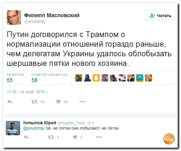 "Мыздобулы" в картинках. Смешных и не очень... 15-11-2016