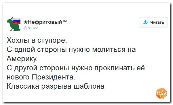 "Мыздобулы" в картинках. Смешных и не очень... 15-11-2016