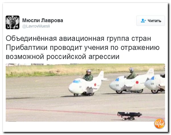 "Мыздобулы" в картинках. Смешных и не очень... 15-11-2016