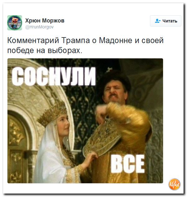 "Мыздобулы" в картинках. Смешных и не очень... 15-11-2016