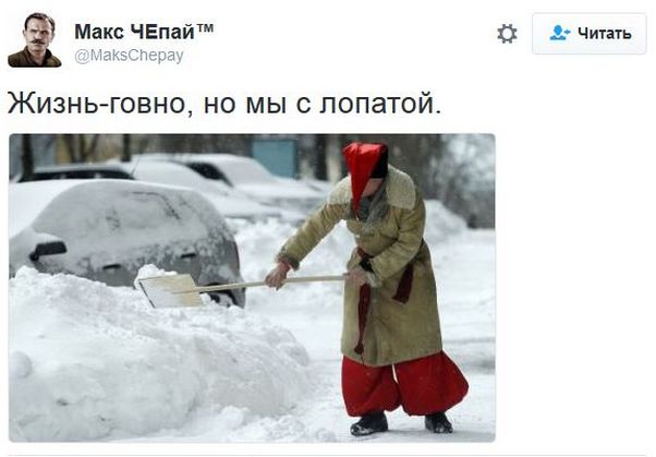 "Мыздобулы" в картинках. Смешных и не очень... 15-11-2016