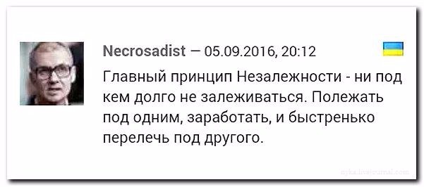 "Мыздобулы" в картинках. Смешных и не очень... 15-11-2016