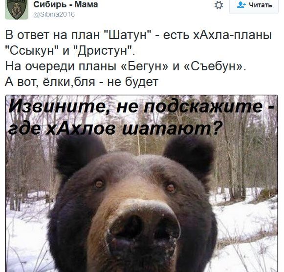 "Мыздобулы" в картинках. Смешных и не очень... 15-11-2016