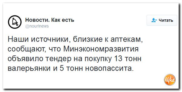 "Мыздобулы" в картинках. Смешных и не очень... 16-11-2016 "Мыздобулы" в картинках. Смешных и не очень... 16-11-2016