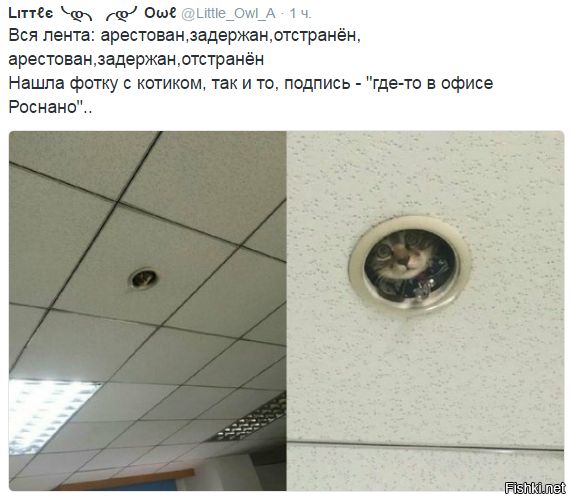 "Мыздобулы" в картинках. Смешных и не очень... 16-11-2016 "Мыздобулы" в картинках. Смешных и не очень... 16-11-2016