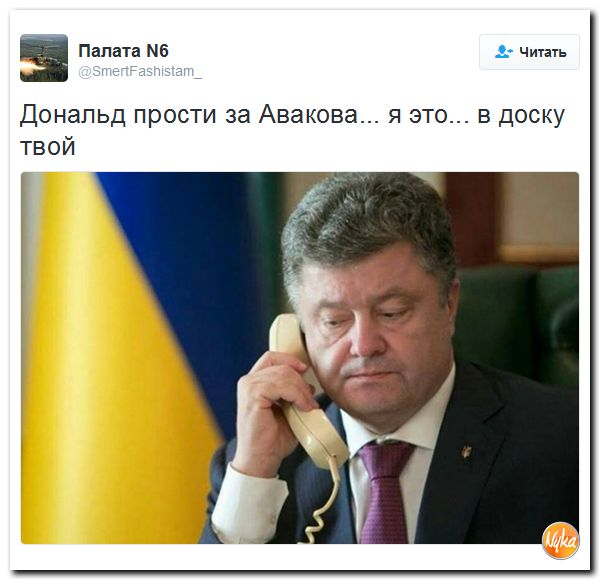 "Мыздобулы" в картинках. Смешных и не очень... 16-11-2016 "Мыздобулы" в картинках. Смешных и не очень... 16-11-2016