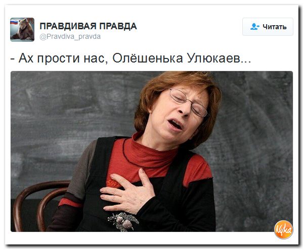 "Мыздобулы" в картинках. Смешных и не очень... 16-11-2016 "Мыздобулы" в картинках. Смешных и не очень... 16-11-2016