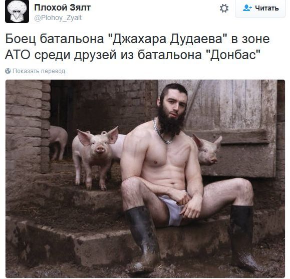 "Мыздобулы" в картинках. Смешных и не очень... 16-11-2016 "Мыздобулы" в картинках. Смешных и не очень... 16-11-2016