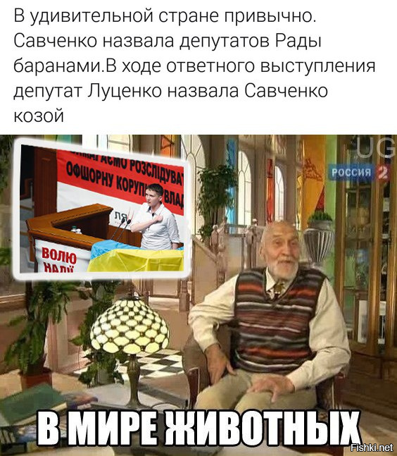 "Мыздобулы" в картинках. Смешных и не очень... 16-11-2016 "Мыздобулы" в картинках. Смешных и не очень... 16-11-2016