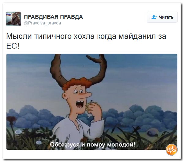 "Мыздобулы" в картинках. Смешных и не очень... 16-11-2016 "Мыздобулы" в картинках. Смешных и не очень... 16-11-2016