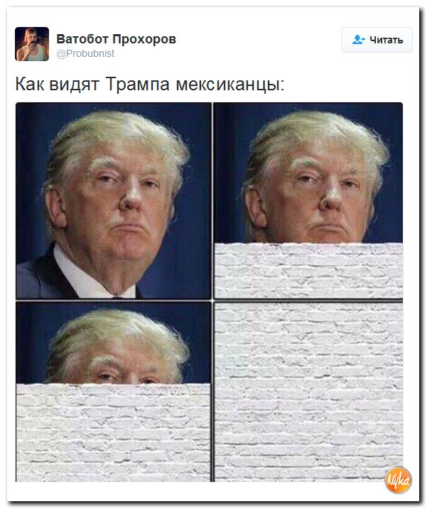 "Мыздобулы" в картинках. Смешных и не очень... 16-11-2016 "Мыздобулы" в картинках. Смешных и не очень... 16-11-2016