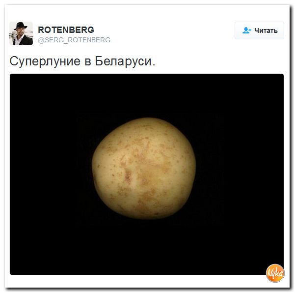 "Мыздобулы" в картинках. Смешных и не очень... 16-11-2016 "Мыздобулы" в картинках. Смешных и не очень... 16-11-2016