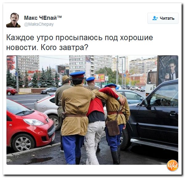 "Мыздобулы" в картинках. Смешных и не очень... 17-11-2016 "Мыздобулы" в картинках. Смешных и не очень... 17-11-2016