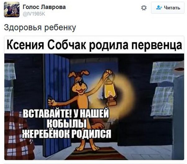 "Мыздобулы" в картинках. Смешных и не очень... 18-11-2016